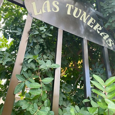 Las Tuneras Apartamento En San Agustin San Bartolomé Extérieur photo